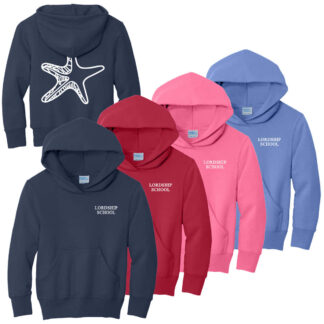 Big Star Hoodie
